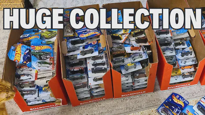 I bought a collection of Hot Wheels with over 1500 cars!